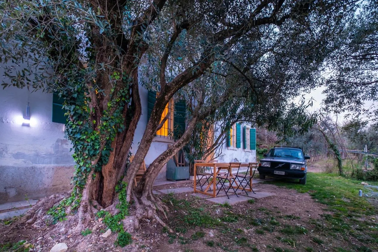 Ca Del Vajo Valpolicella House Villa Negrar 0*,  Italy