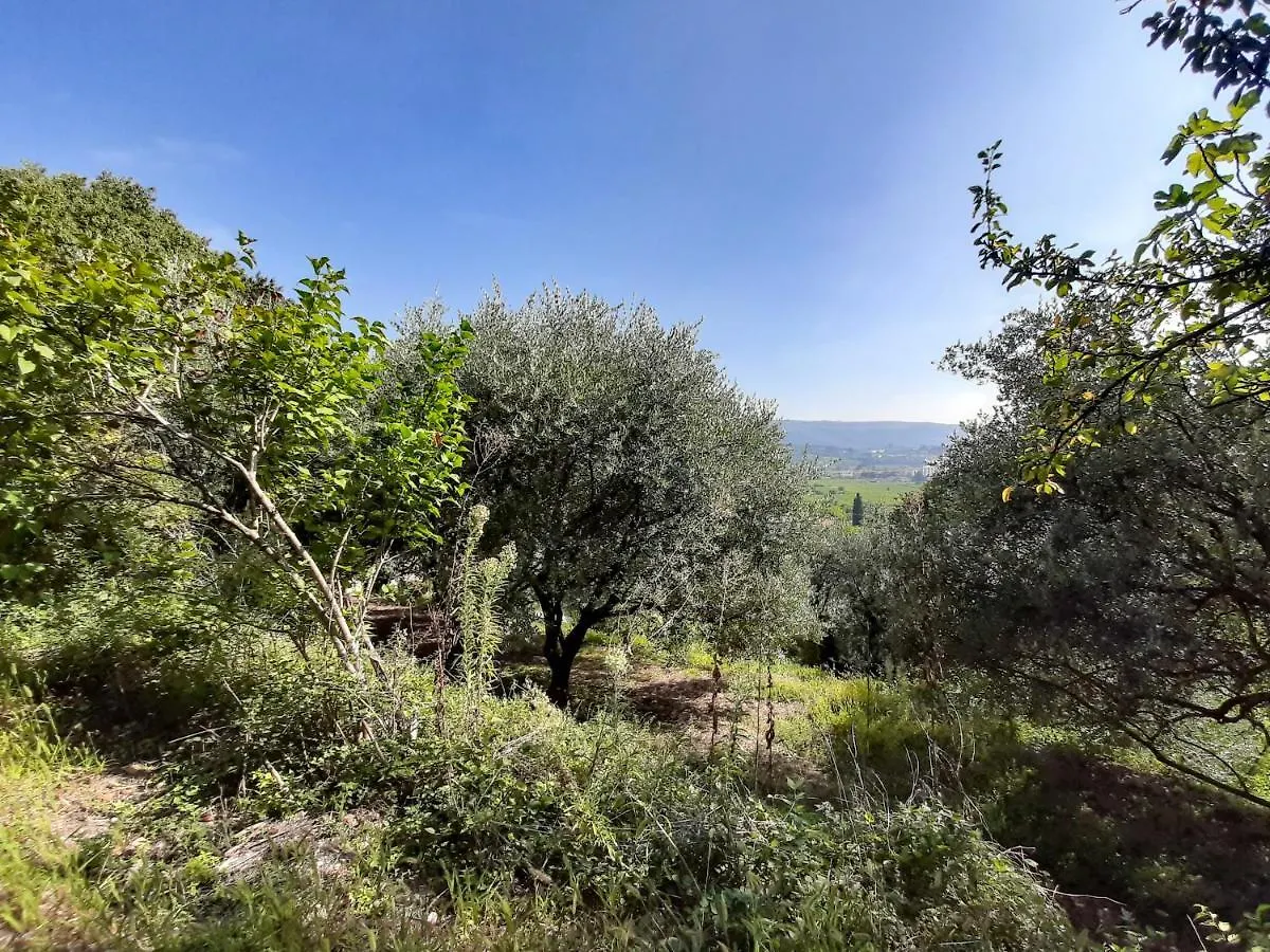 Holiday home Ca Del Vajo Valpolicella House Villa Negrar