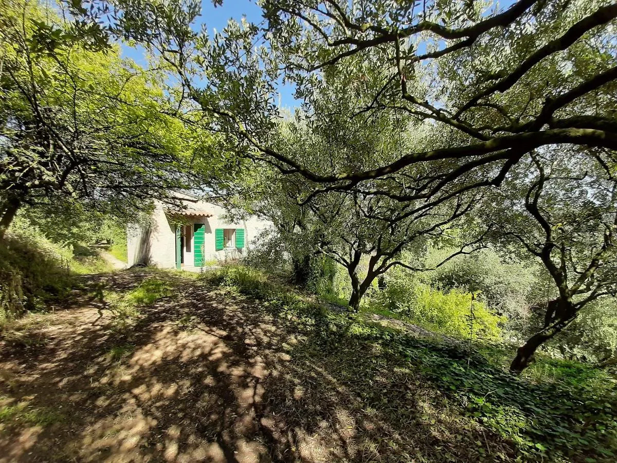 Ca Del Vajo Valpolicella House Villa Negrar Holiday home