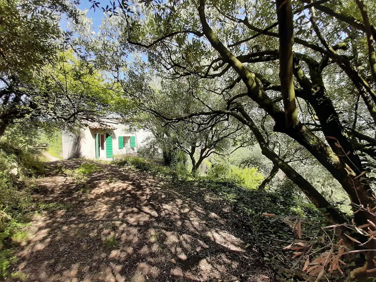 Ca Del Vajo Valpolicella House Villa Negrar