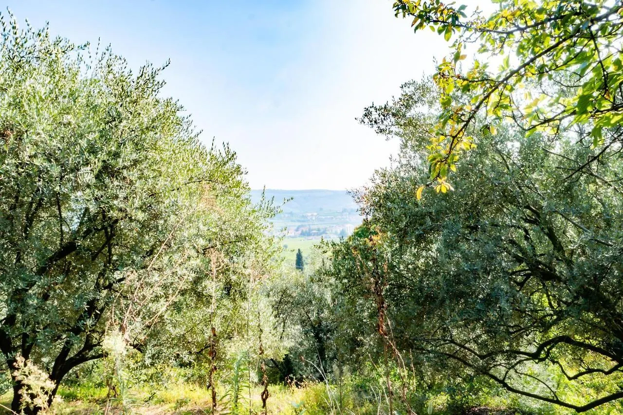 Ca Del Vajo Valpolicella House Villa Negrar Italy